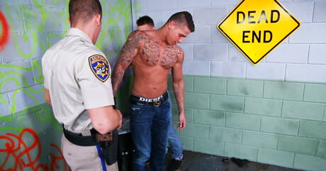 Sexy guys Damien West, Diesel White and Johnny Diesel in hot 3some anal sex