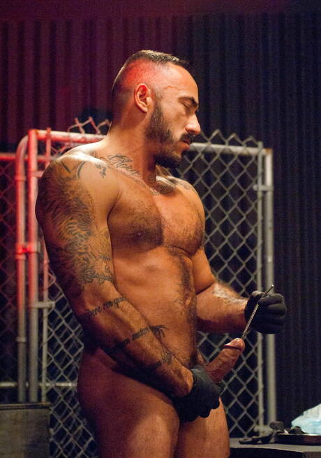 Pretty american boys strong bull Angelo Marconi and beefcake Shane Frost shows a sturdy body