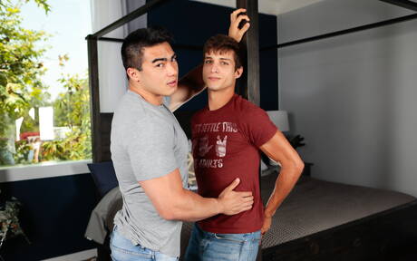 Twink Undressing Pics