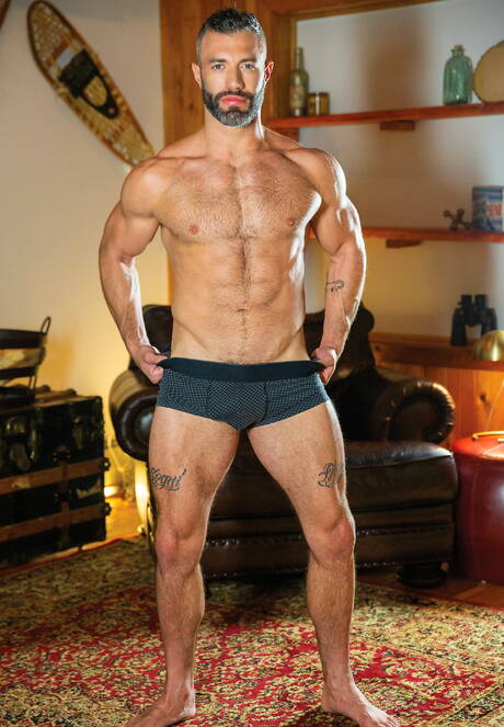 American stars hot bear Cole Connor and beefcake Devin Franco make a love