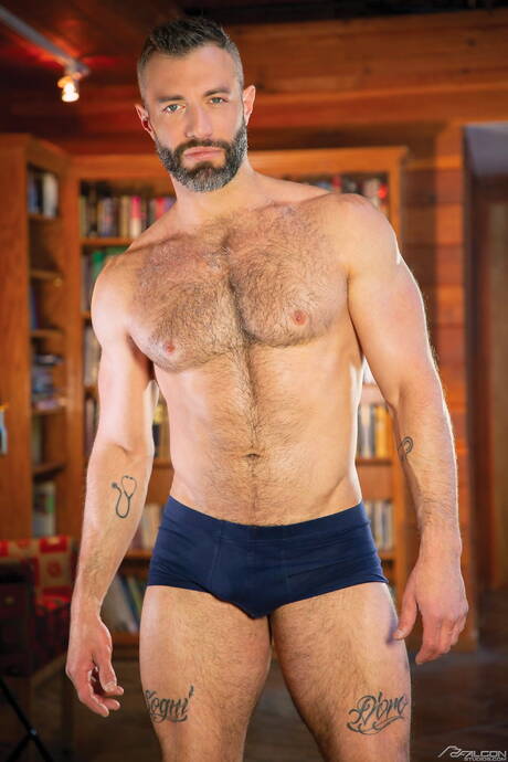 Nice american guys bull Brock Banks and mature bear Cole Connor in hot homosexual action