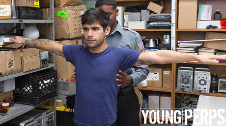 Nice american boys well-built Knockout and otter Ty Mitchell have anal sex